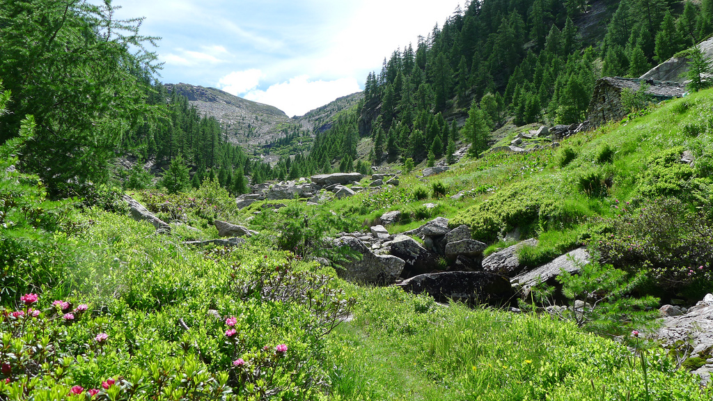 Einladende Berglandschaft